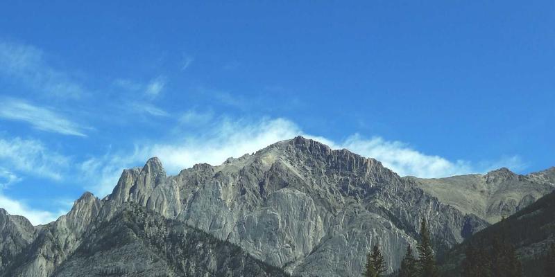 从“我找加”到意图识别：搜索引擎索引算法的语义理解革命