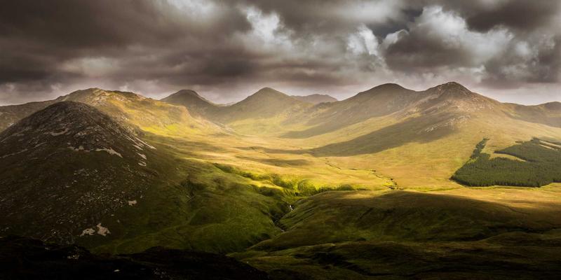 搜索引擎21：揭秘排名算法与索引算法的协同进化及其对现代SEO的影响