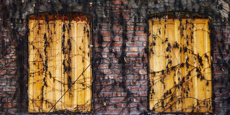 搜索引擎23：SEO如何适应排名算法与索引算法的未来变革