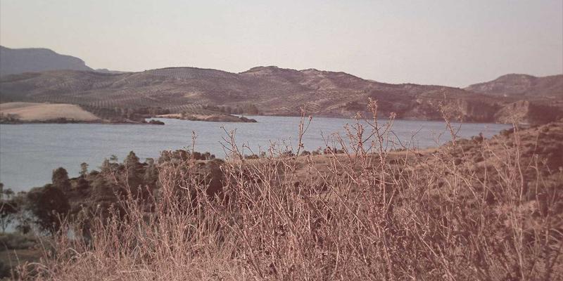 搜索引擎42：网络爬虫、索引算法与信息检索的深度解析