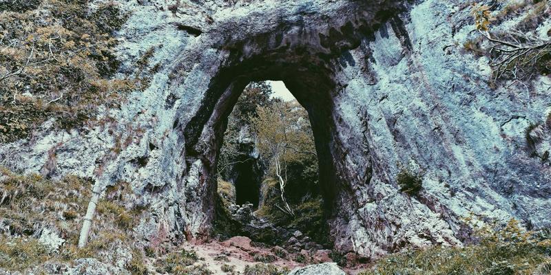 搜索引擎64：深度解析索引算法与排名算法的核心机制