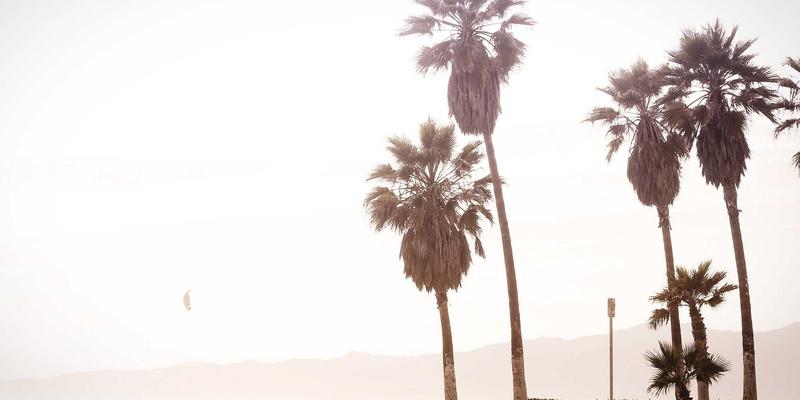 搜索引擎69:揭秘SEO、索引算法与信息检索的深度联结