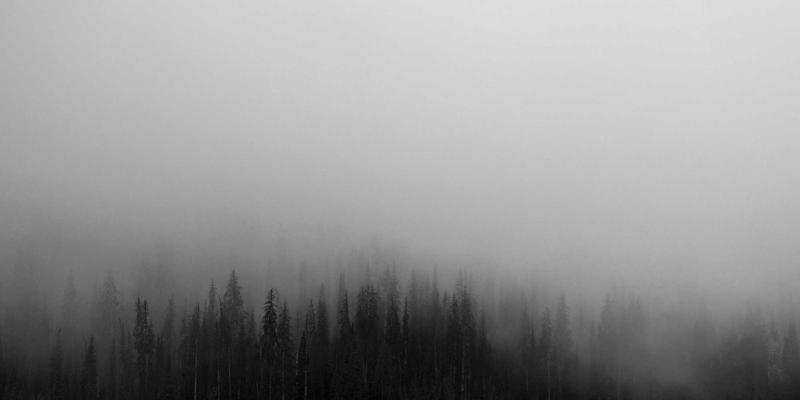 搜索引擎70：信息检索、网络爬虫与排名算法的深度解析