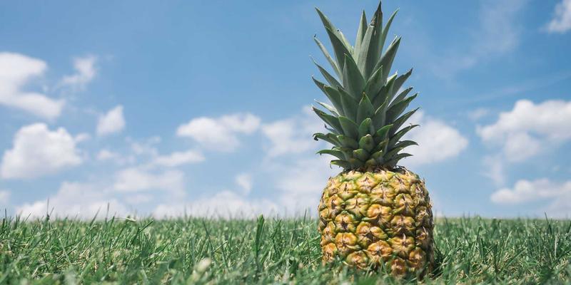 搜索引擎77:揭秘网络爬虫、排名算法与搜索技术的核心演进