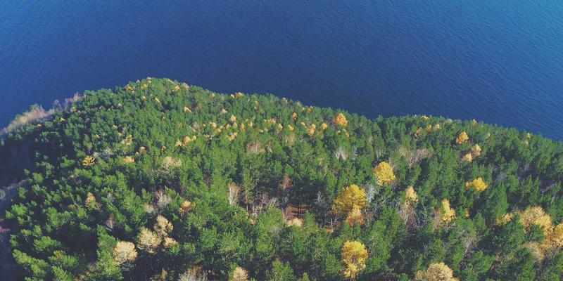 搜索引擎82：网络爬虫、我找加与信息检索的深度解析