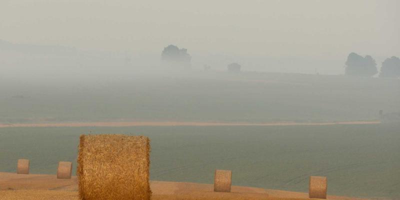 搜索引擎优化（SEO）实战指南：从“我找加”到精准流量获取