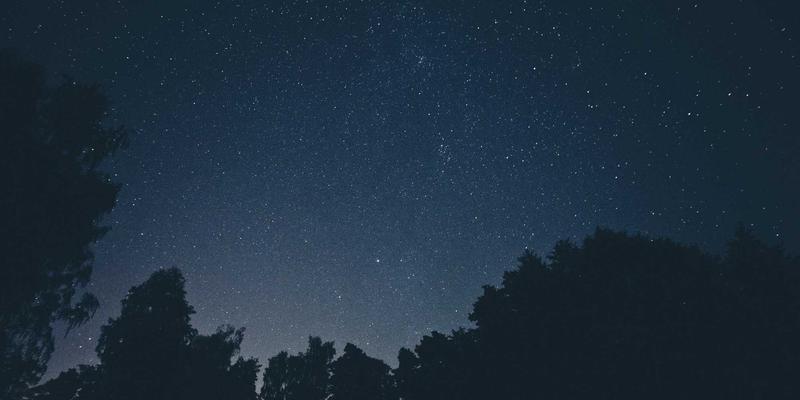 搜索引擎排序算法的公平性与偏见：技术中立的伦理挑战