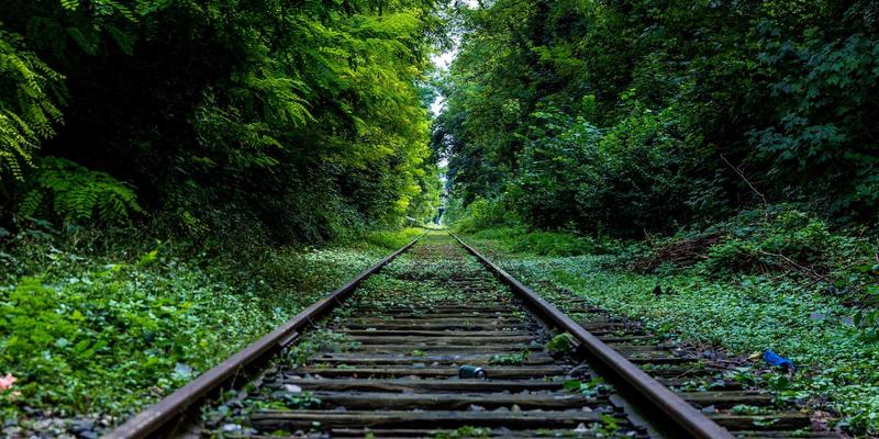 搜索引擎的个性化困境：用户画像、行为数据与信息茧房的伦理技术分析