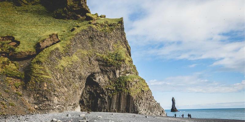搜索引擎算法进化史：深度解读熊猫、企鹅、蜂鸟如何重塑信息检索