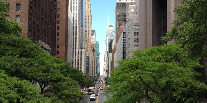 搜索引擎进阶指南:深入解析排名与索引算法的核心逻辑