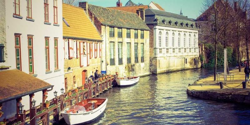 跨越语言鸿沟：索引算法与网络爬虫如何实现全球信息的无缝检索